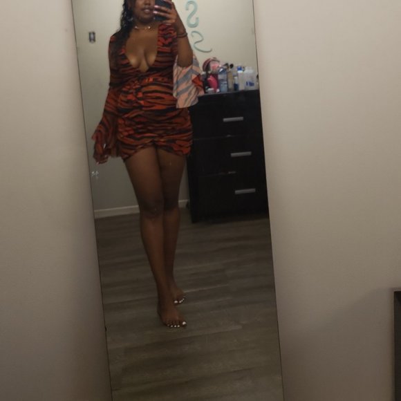 Orange Zebra Print Mesh Tie Waist Dress - Picture 3 of 3